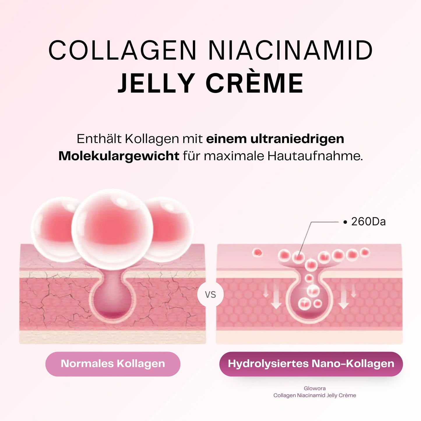 Collagen + Niacinamid Jelly Creme – Calanera